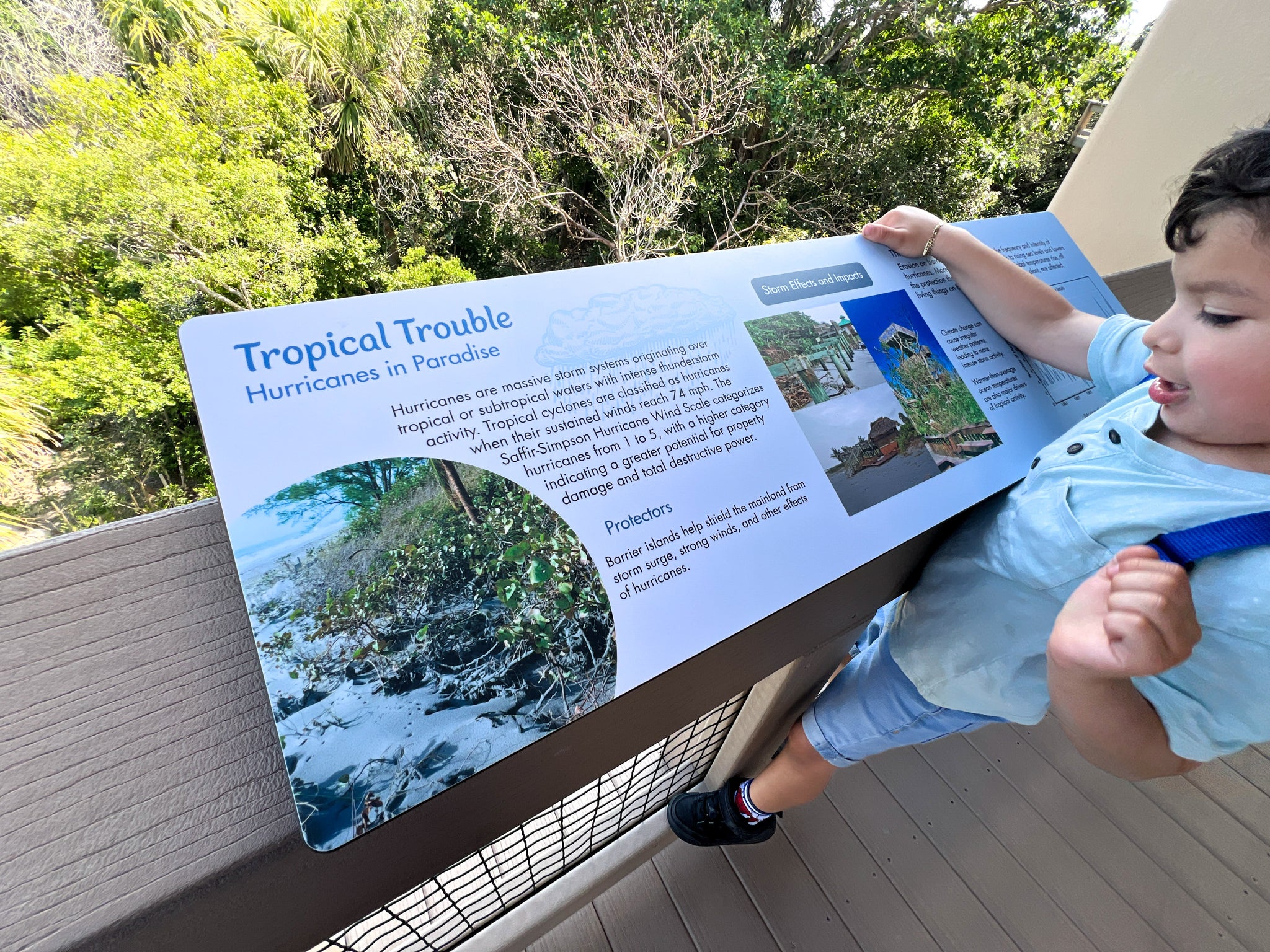 An Outdoor Classroom in the Sky: Atomic Carrots at the Gumbo Limbo Observation Tower