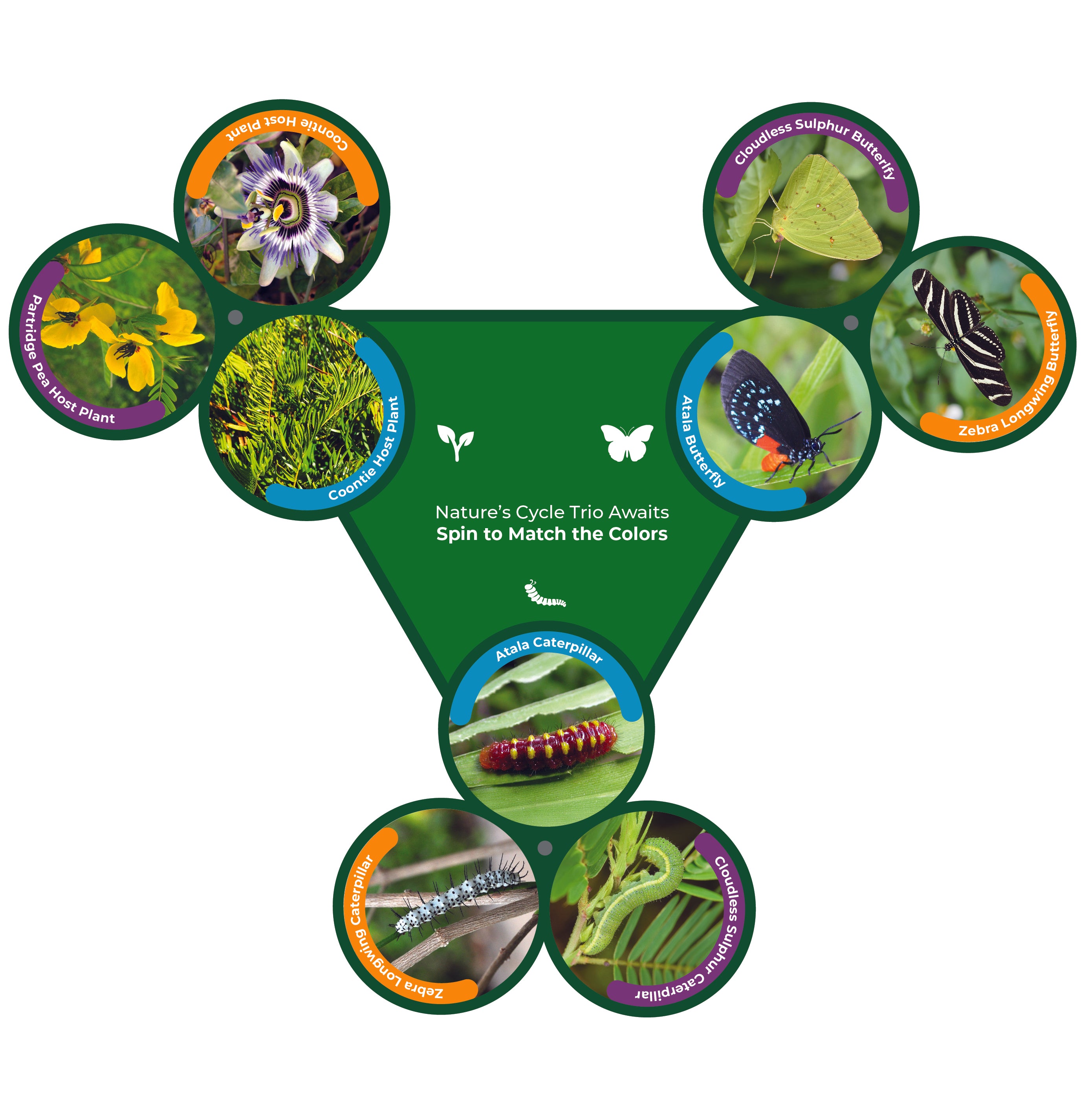 Spin & Match Interactive – 3-Part Matching Game (Outdoor HDPE)