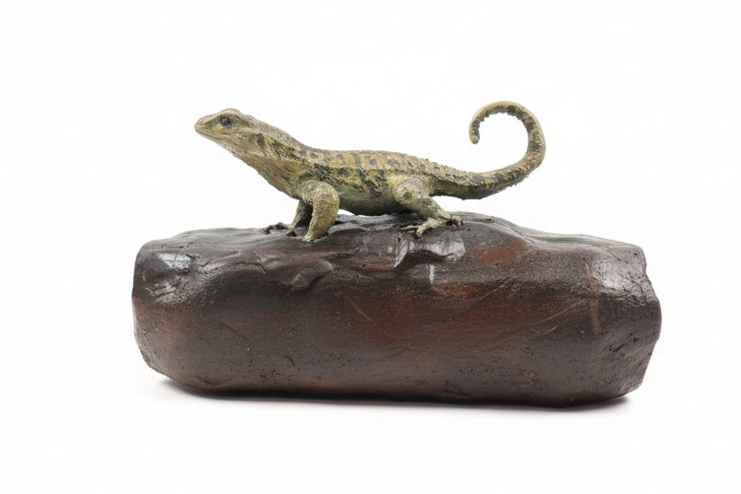 Curly lizard on a ledge for wall mount 