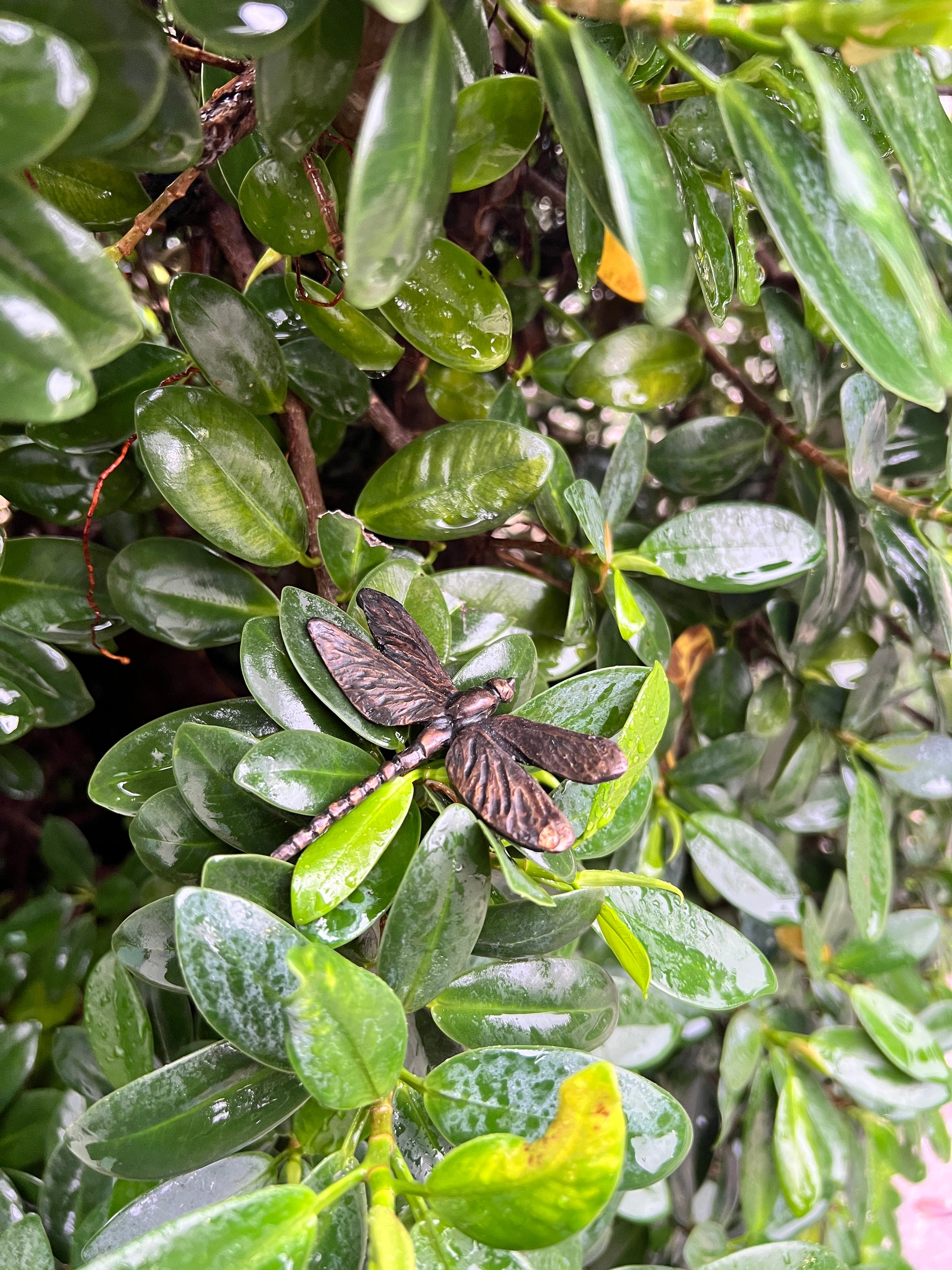 Eight-Spotted Skimmer Bronze Sculpture – Outdoor Tactile Exhibit Replica