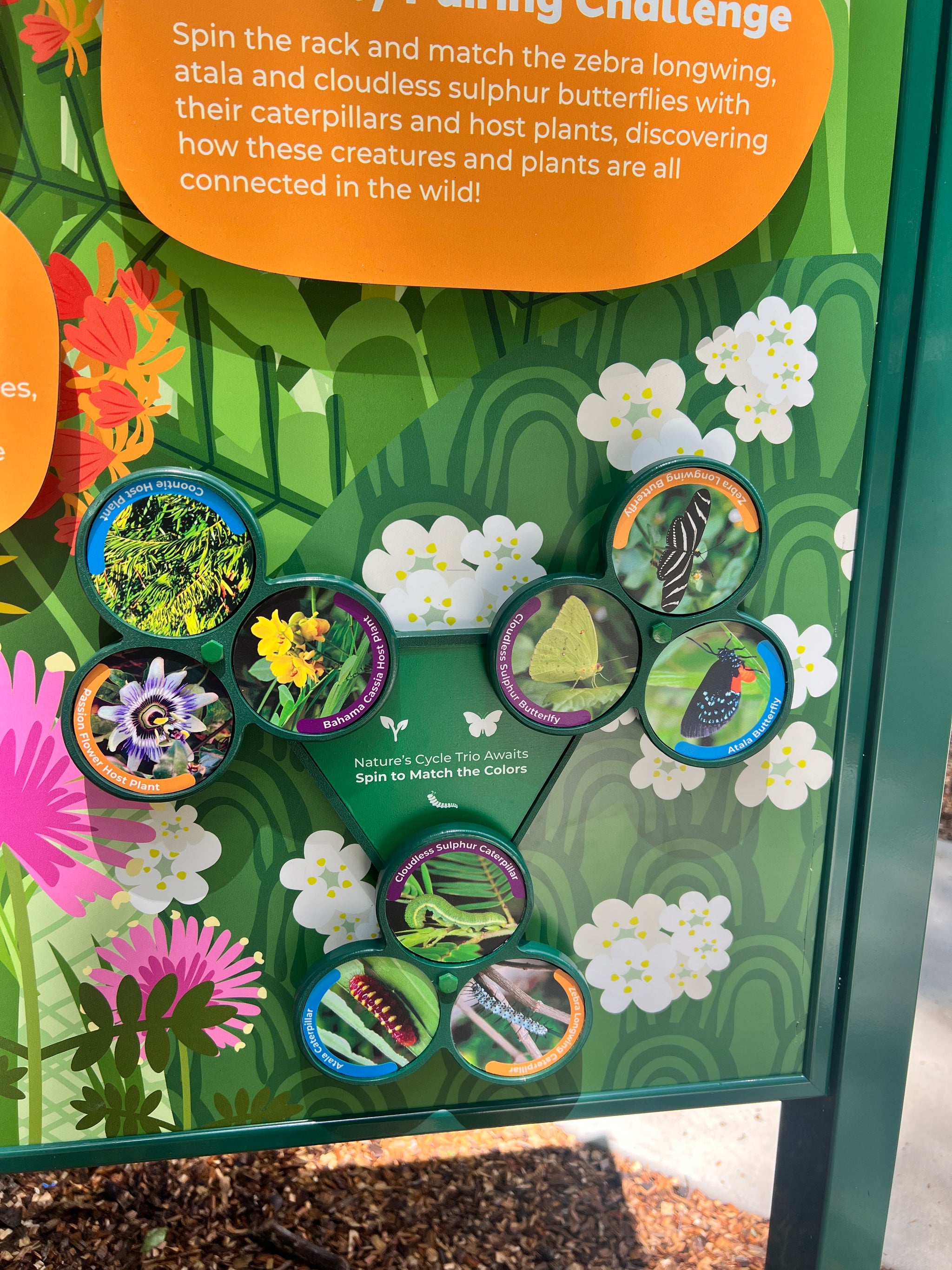 Spin & Match Interactive – 3-Part Matching Game (Outdoor HDPE)