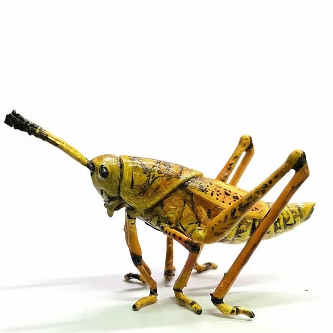 Adult Eastern Lubber Grasshopper Exhibit Replica – UV - Sealed, Diorama Model - Atomic Carrots