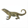 Curly - Tailed Lizard Tactile Exhibit Replica – UV - Sealed, High - Touch Model - Atomic Carrots