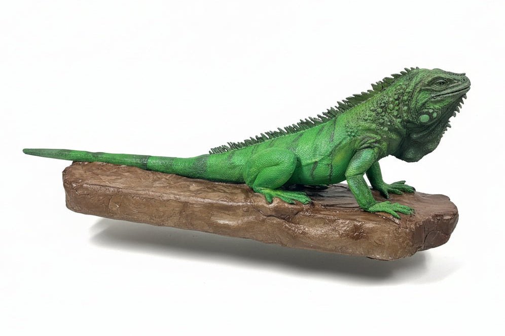 Green Iguana Tactile Exhibit Replica – UV - Sealed, High - Touch Model - Atomic Carrots