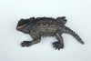 Horned Toad Bronze Sculpture – Outdoor Tactile Exhibit Replica - Atomic Carrots