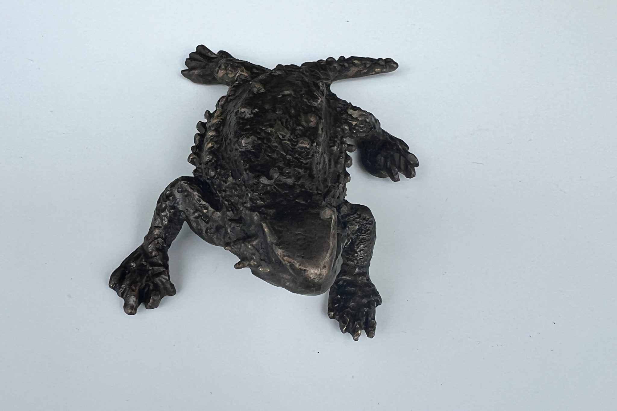 Horned Toad Bronze Sculpture – Outdoor Tactile Exhibit Replica - Atomic Carrots