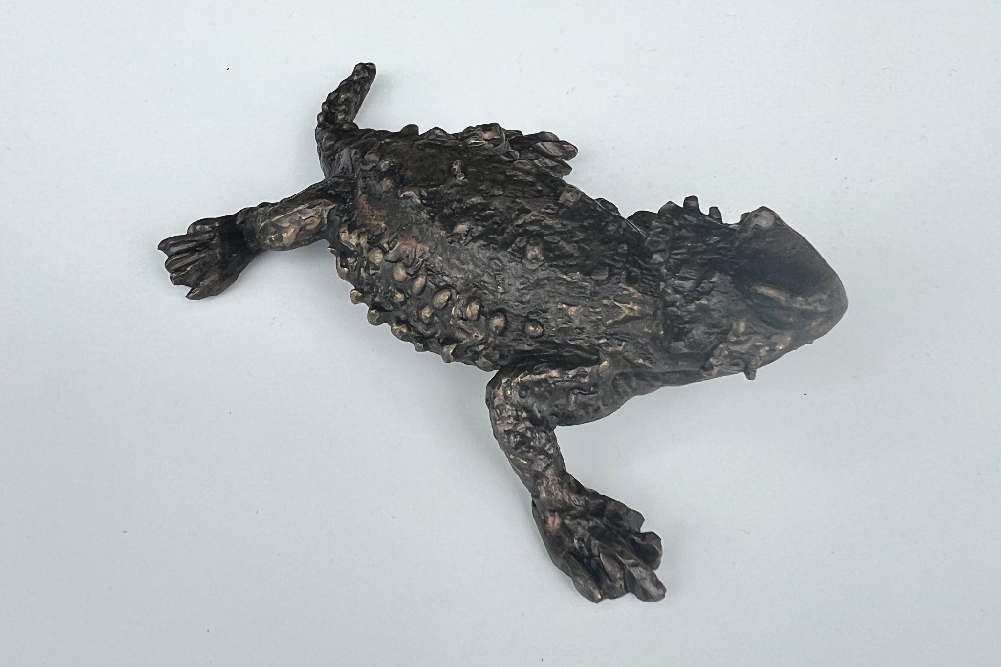 Horned Toad Bronze Sculpture – Outdoor Tactile Exhibit Replica - Atomic Carrots