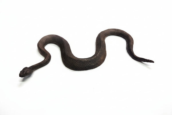 Mojave Rattlesnake Bronze Sculpture – Outdoor Tactile Exhibit Replica - Atomic Carrots