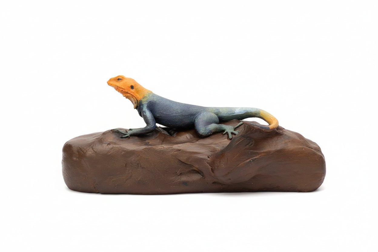 Peter's Rock Agama Tactile Exhibit Replica – UV - Sealed, High - Touch Model - Atomic Carrots