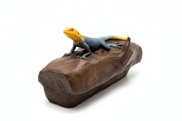 Peter's Rock Agama Tactile Exhibit Replica – UV - Sealed, High - Touch Model - Atomic Carrots