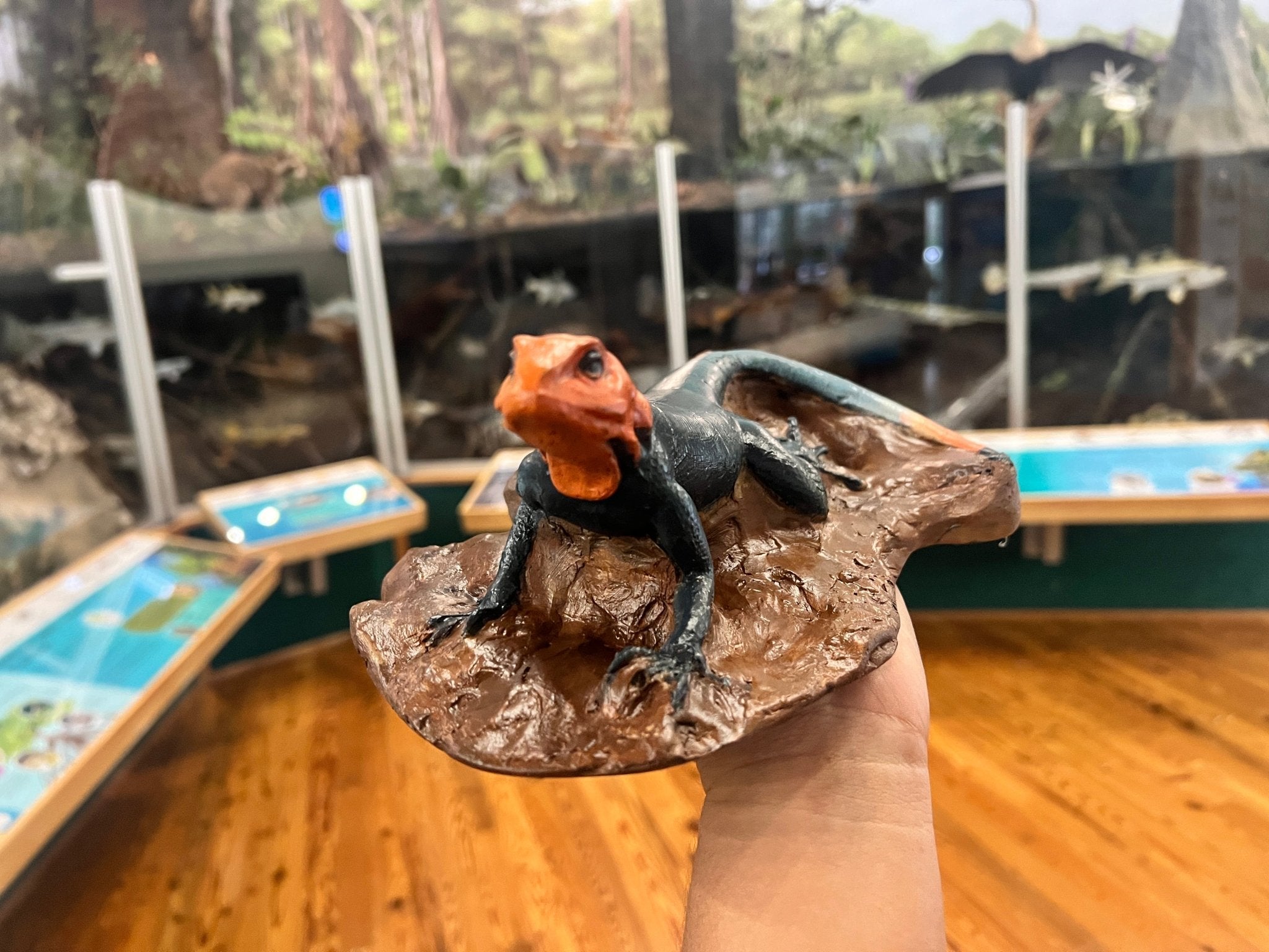 Peter's Rock Agama Tactile Exhibit Replica – UV - Sealed, High - Touch Model - Atomic Carrots