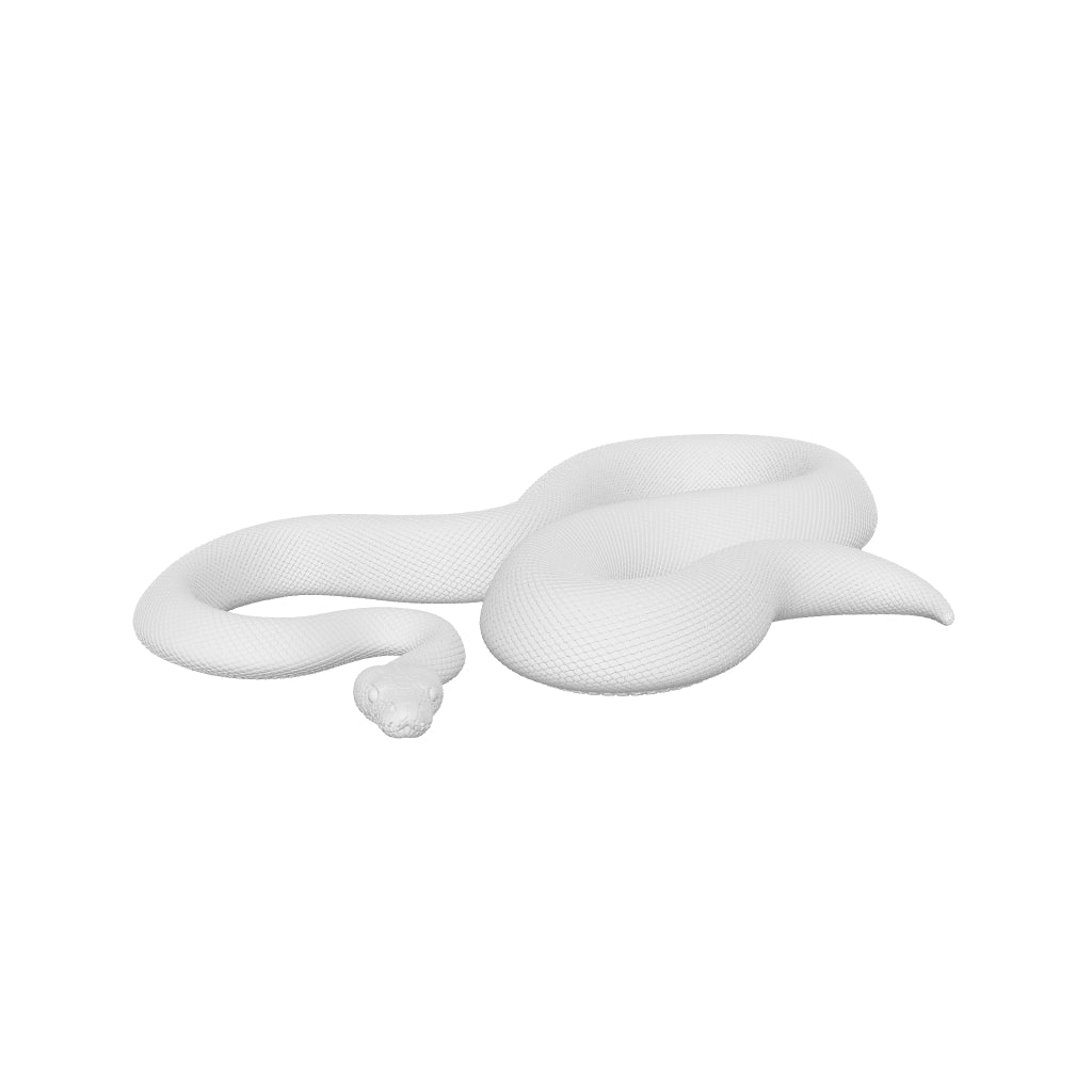 Ball Python Tactile Exhibit Replica – UV-Sealed, High-Touch Model