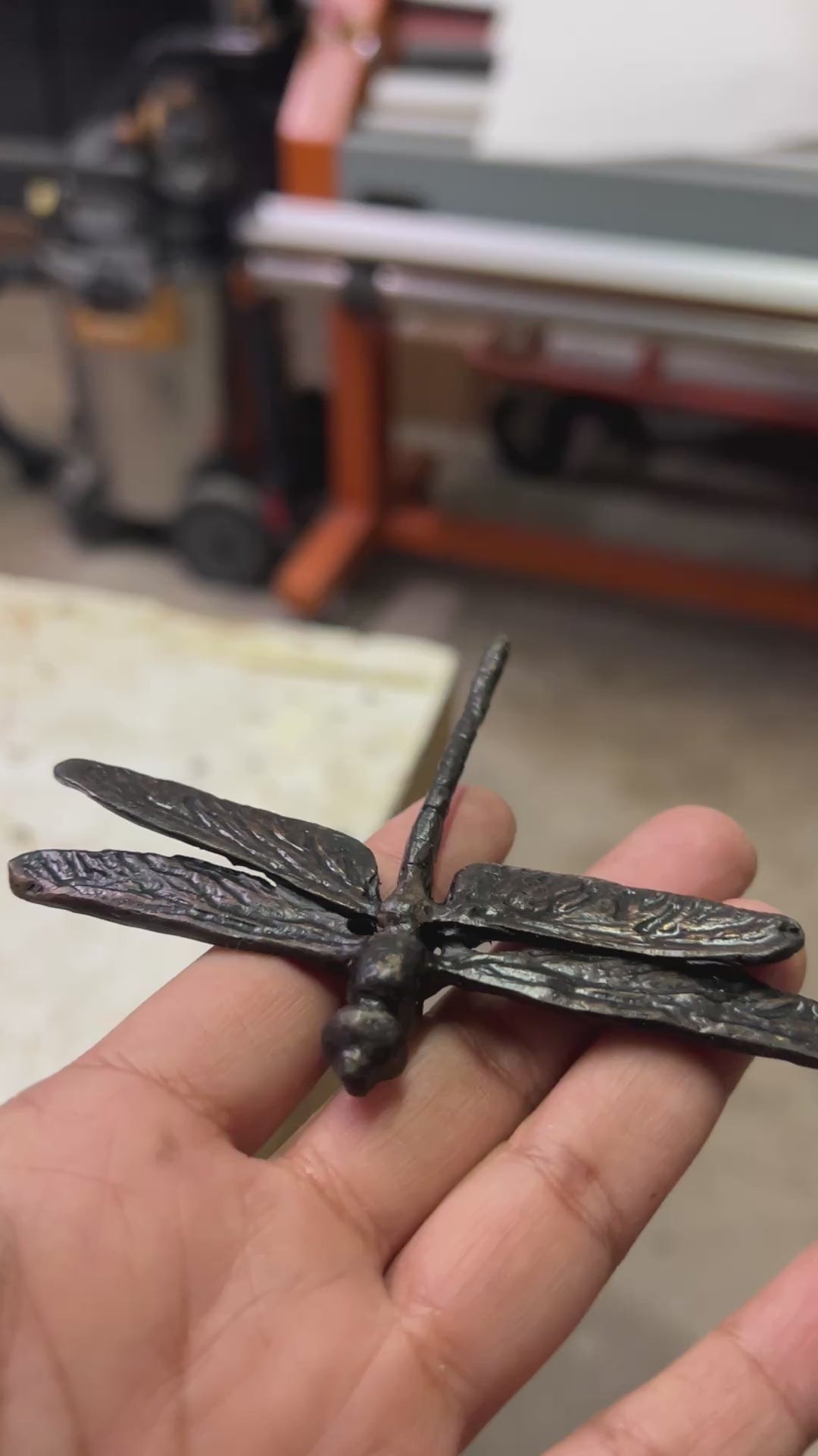 Blue-eyed Darner Dragonfly Bronze Sculpture – Outdoor Tactile Exhibit Replica