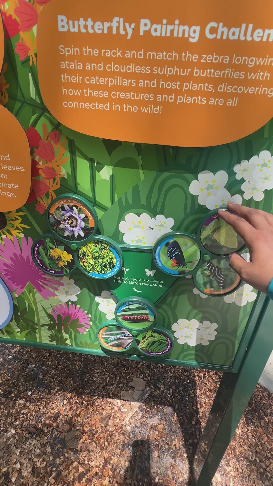 Spin & Match Interactive – 3-Part Matching Game (Outdoor HDPE)