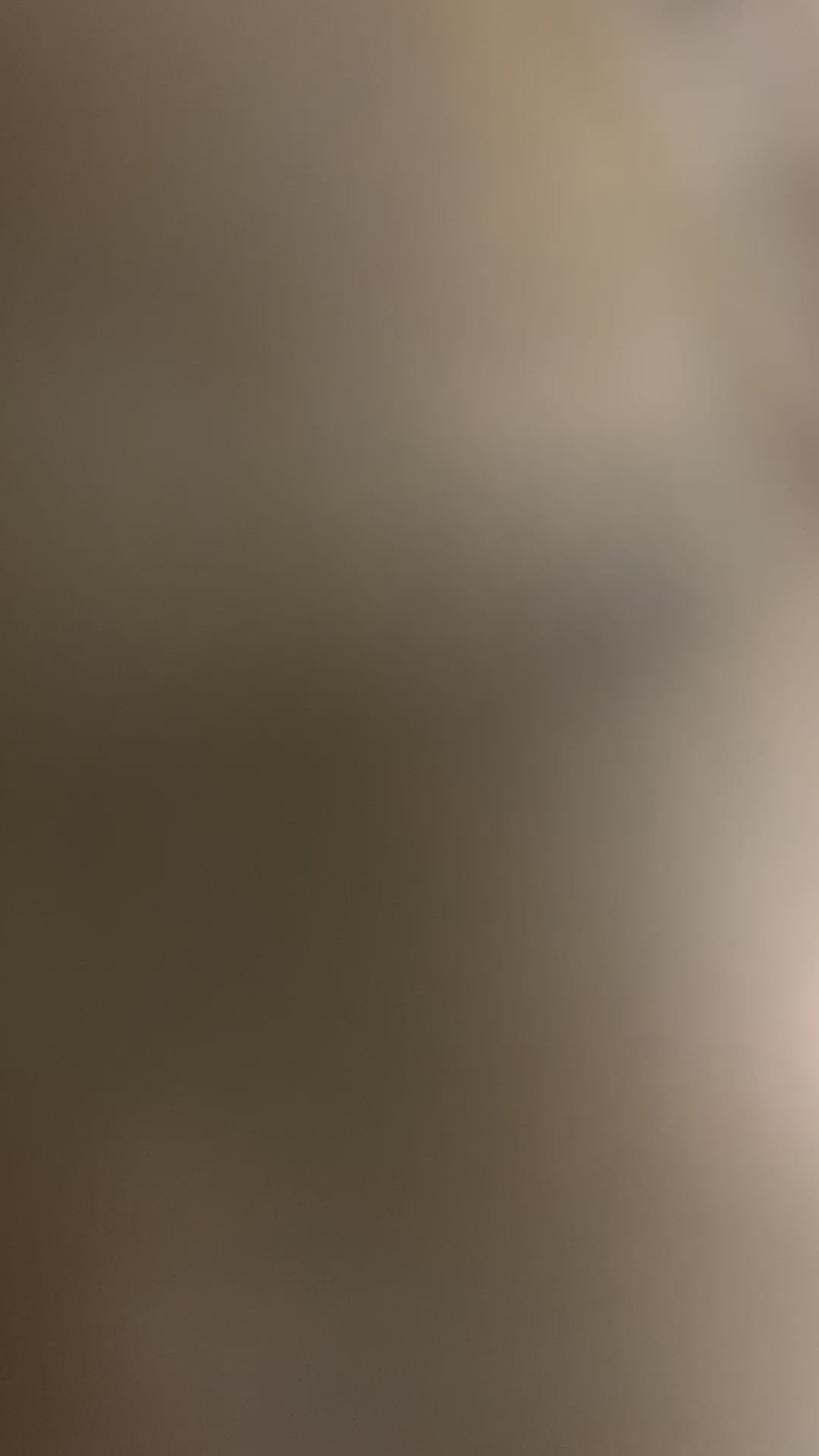 Juvenile Green Sea Turtle Tactile Exhibit Replica – UV-Sealed, High-Touch Model