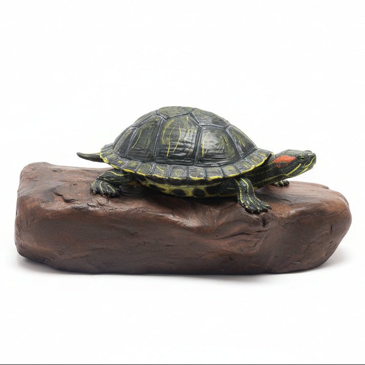 Red Eared Slider Tactile Exhibit Replica – UV - Sealed, High - Touch Model - Atomic Carrots