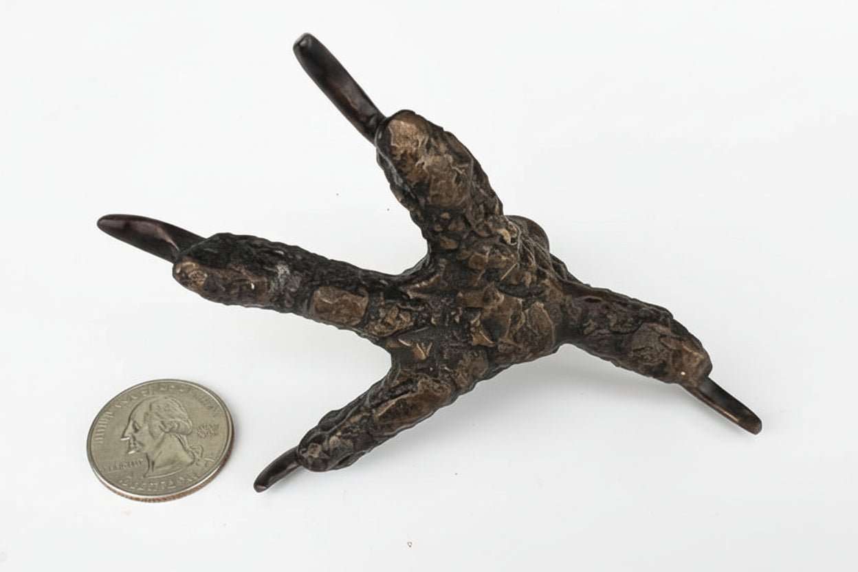 Red Hawk Talon Bronze Sculpture – Outdoor Tactile Exhibit Replica - Atomic Carrots