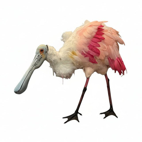 Roseate Spoonbill Exhibit Replica - Atomic Carrots