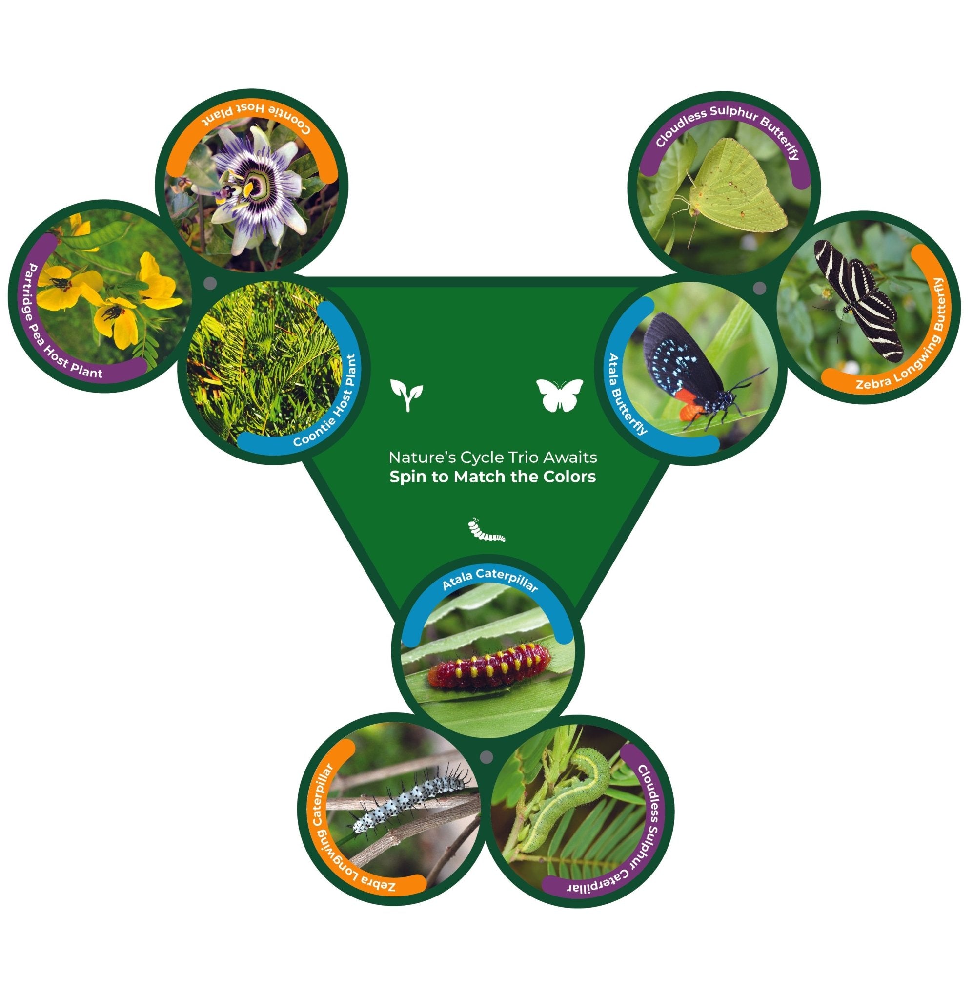 Spin & Match Interactive – 3 - Part Matching Game (Outdoor HDPE) - Atomic Carrots